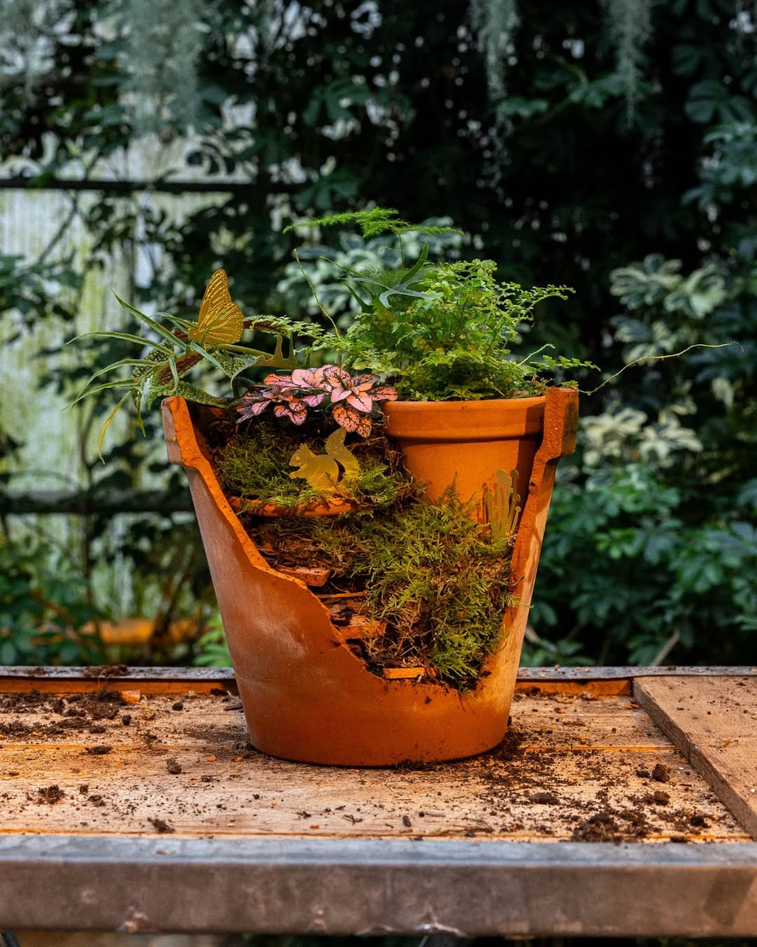 design a broken pot hideaway Design a Broken Pot Hideaway