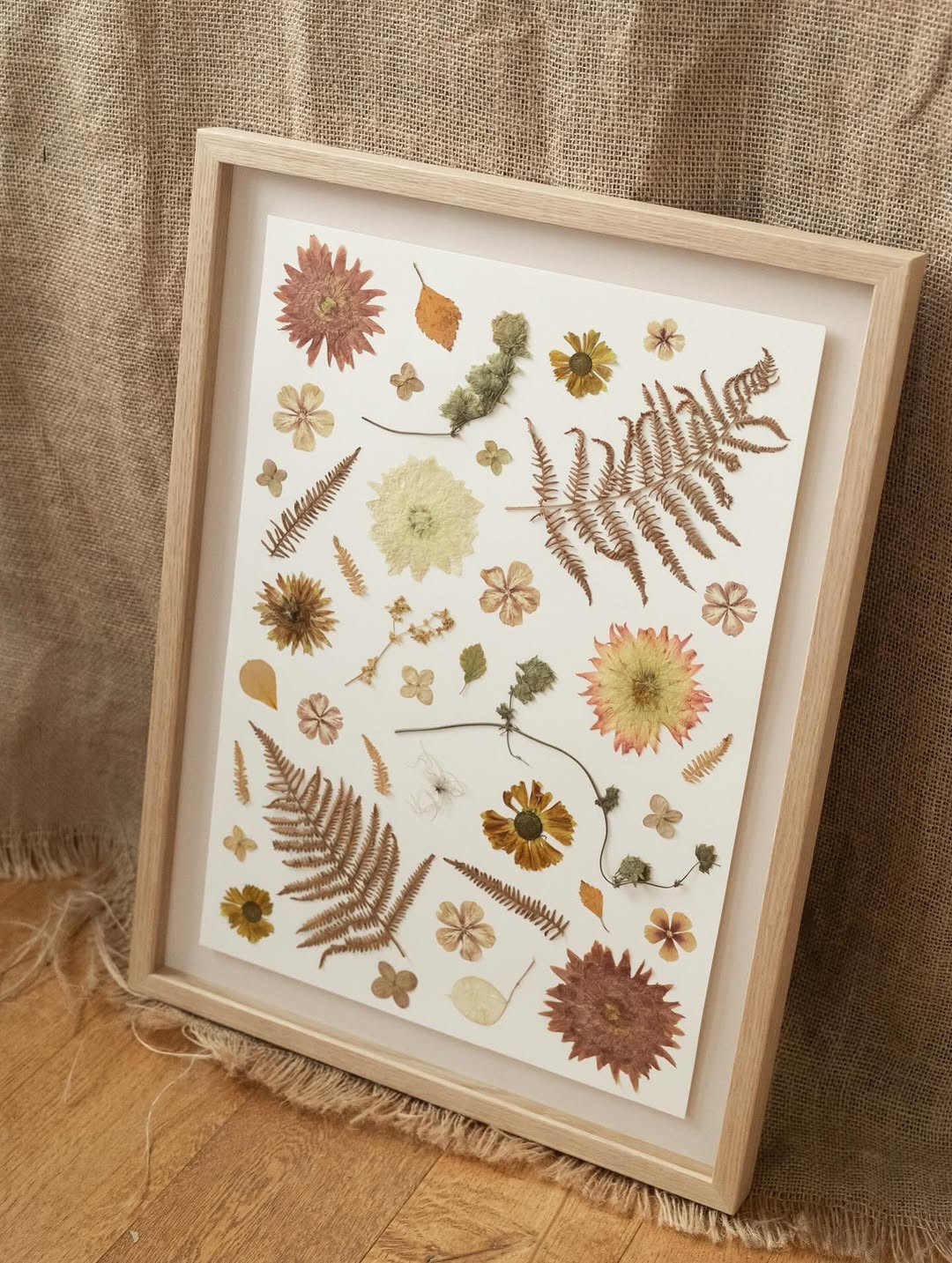 pressed botanicals in frames Pressed Botanicals in Frames
