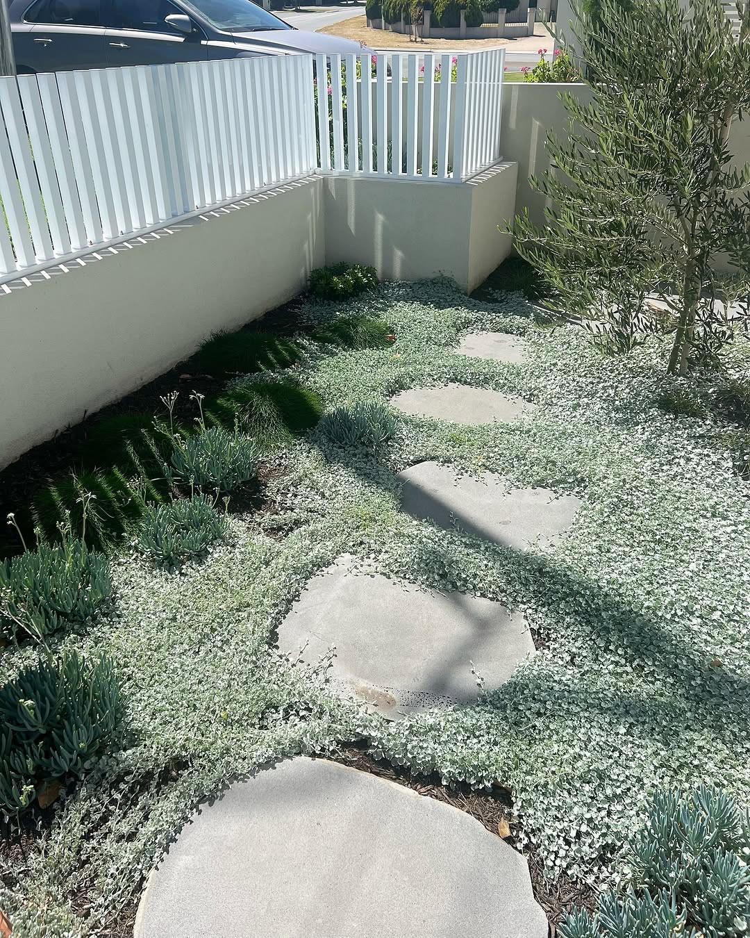 swap lawn for easy groundcovers Swap Lawn for Easy Groundcovers