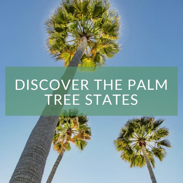 What States Have Palm Trees?