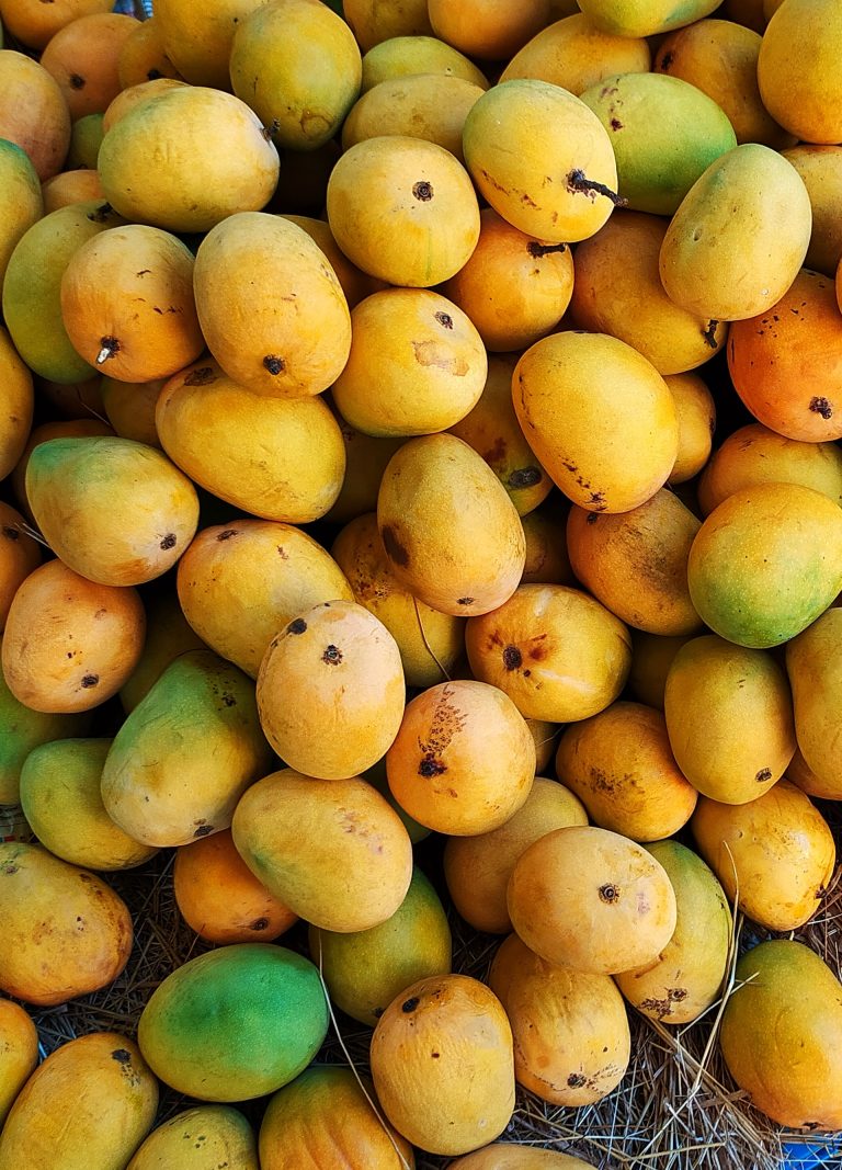 When Are Mangos in Season?